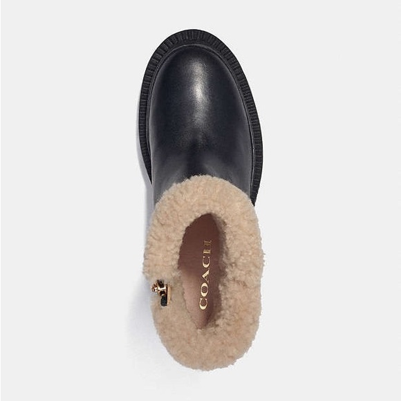 Coach Jane Booties - Never worn - Picture 3 of 8